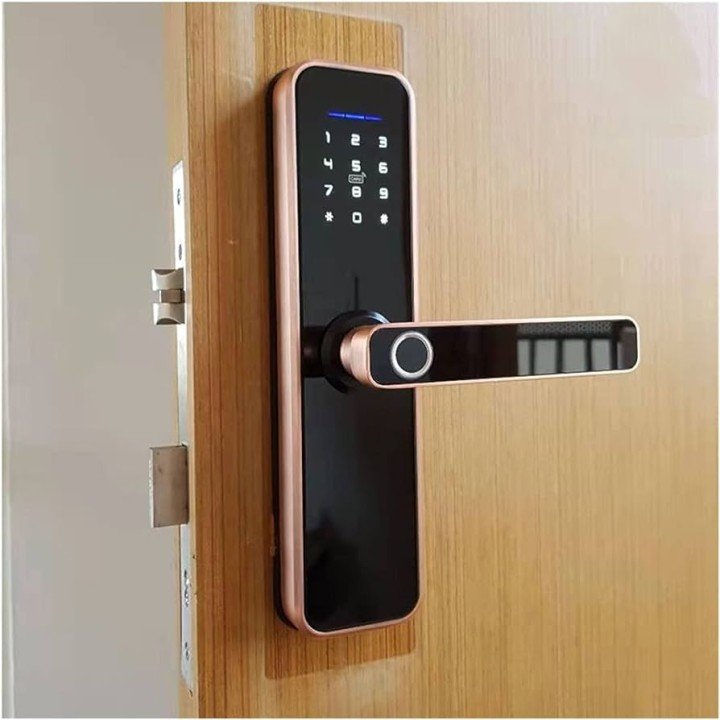 WhatsApp Image 2025-08-31 at 8.12.04 PM