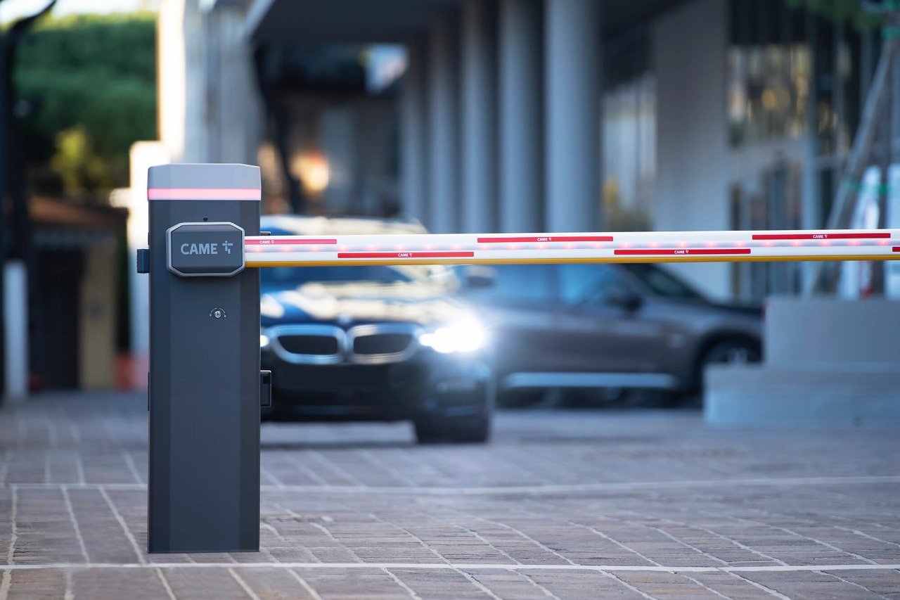 WhatsApp Image 2025-08-31 at 8.12.30 PM